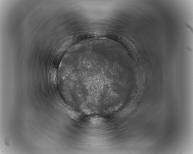 X0000100860336200807070939