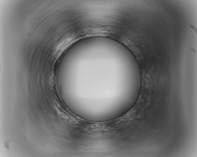 X0000100860338200807070939