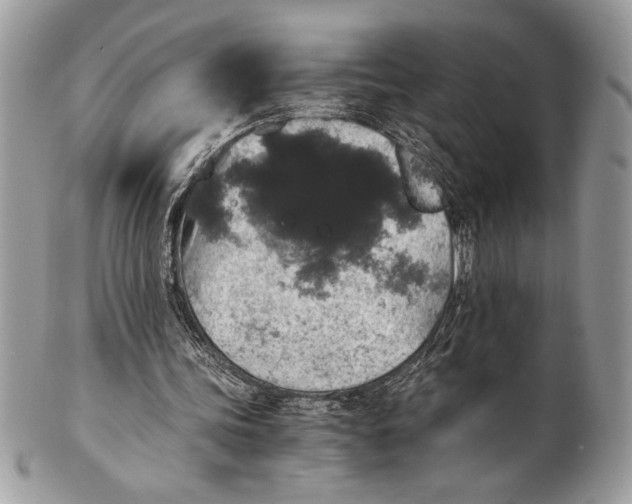 X0000100860339200807070939