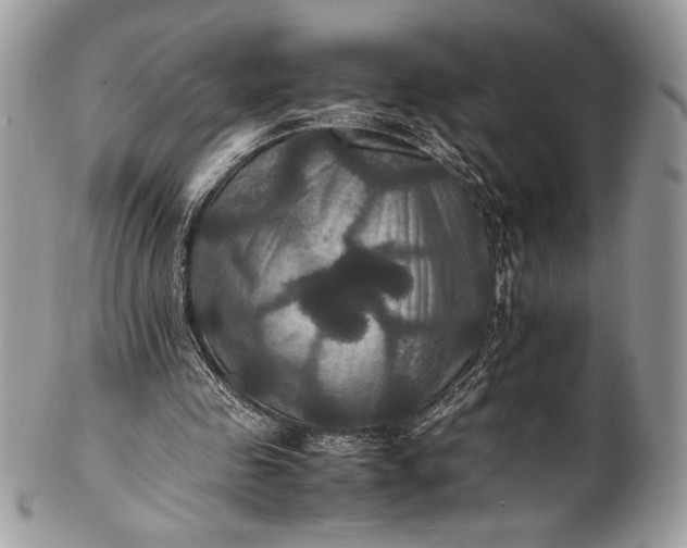 X0000100860341200807070939