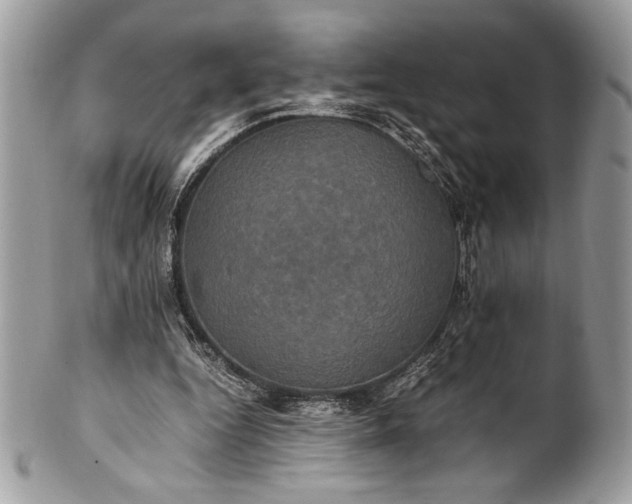 X0000100860344200807070939