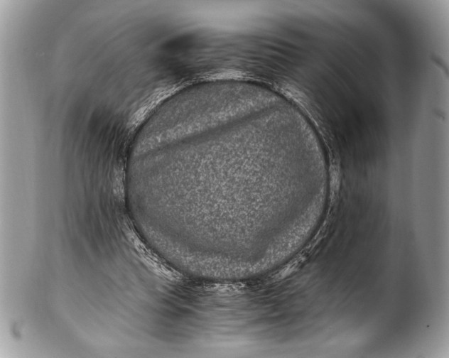 X0000100860345200807070939