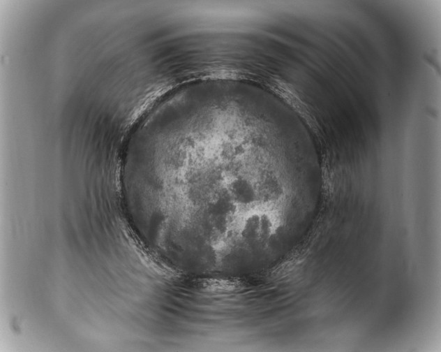 X0000100860347200807070939