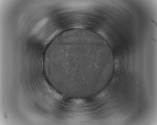 X0000100860349200807070939