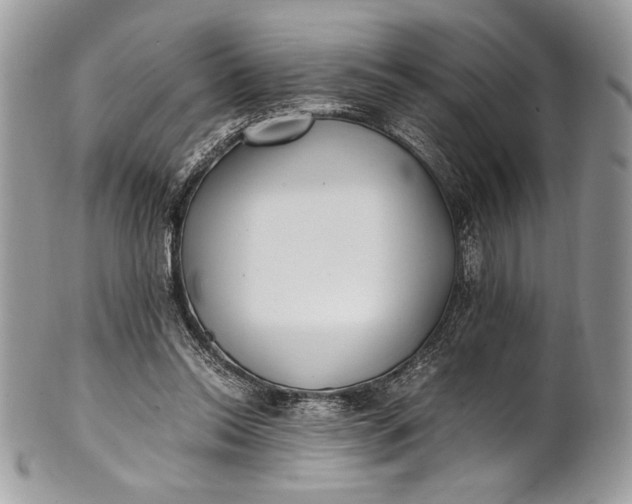 X0000100860350200807070939