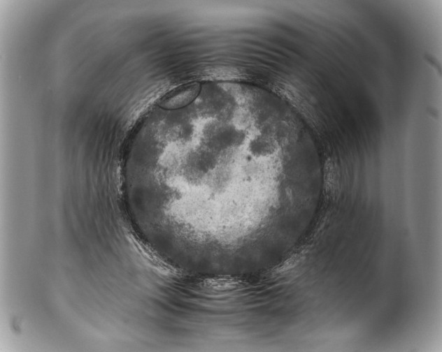 X0000100860351200807070939