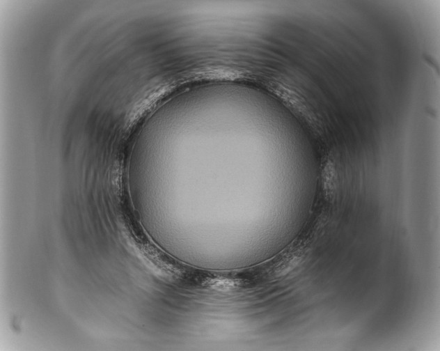 X0000100860352200807070939