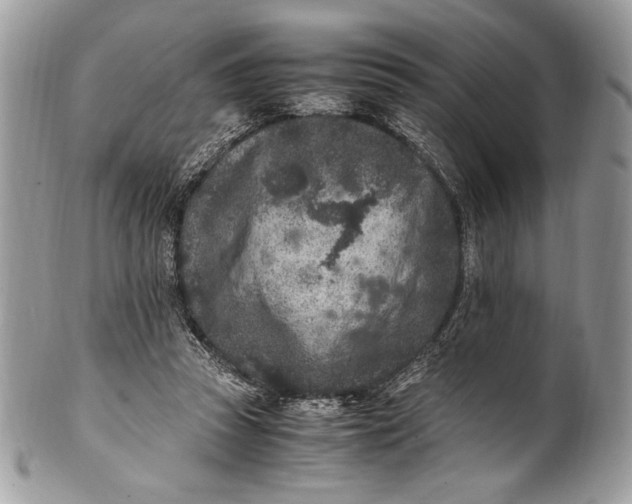 X0000100860353200807070939