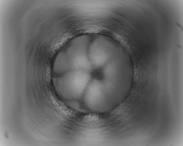 X0000100860354200807070939