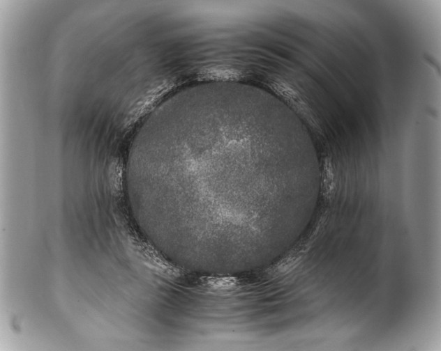 X0000100860355200807070939