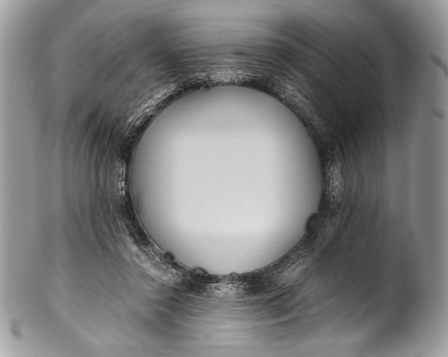 X0000100860356200807070939