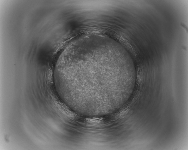 X0000100860359200807070939