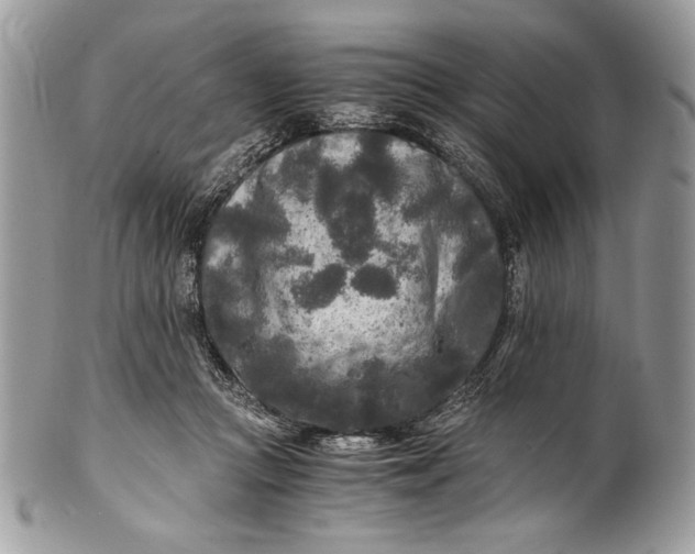 X0000100860361200807070939