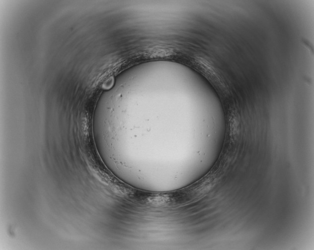 X0000100860362200807070939