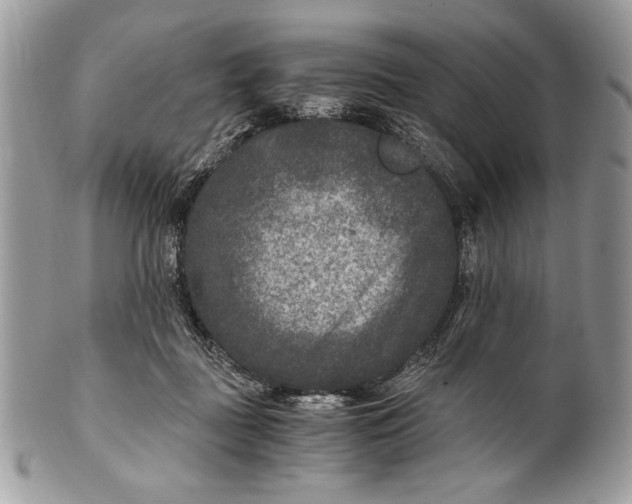 X0000100860363200807070939