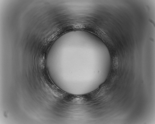 X0000100860364200807070939