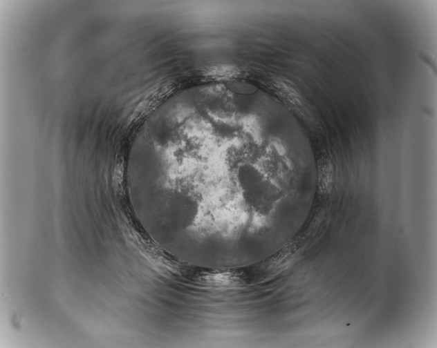 X0000100860365200807070939