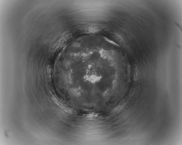 X0000100860366200807070939