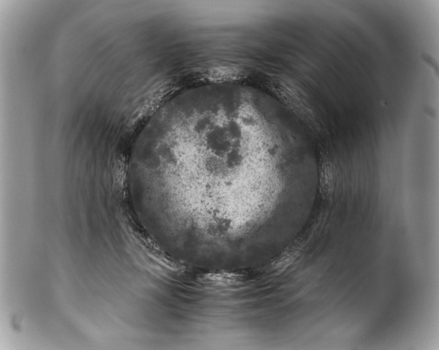 X0000100860367200807070939