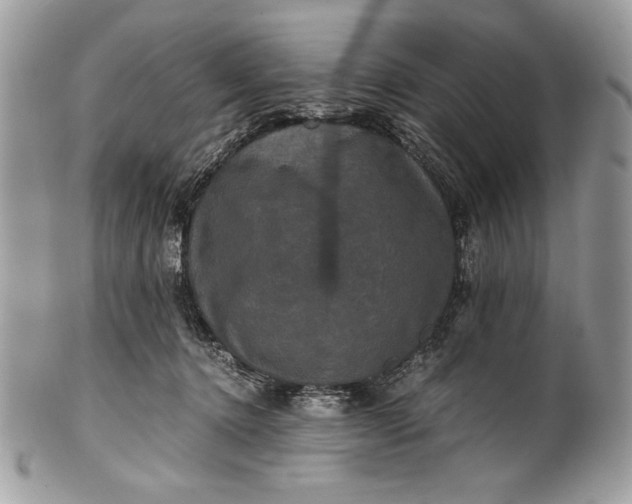 X0000100860368200807070939