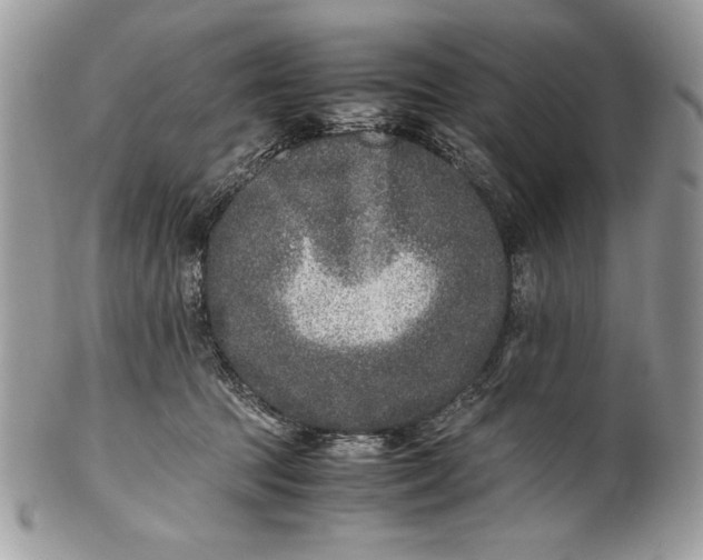 X0000100860369200807070939