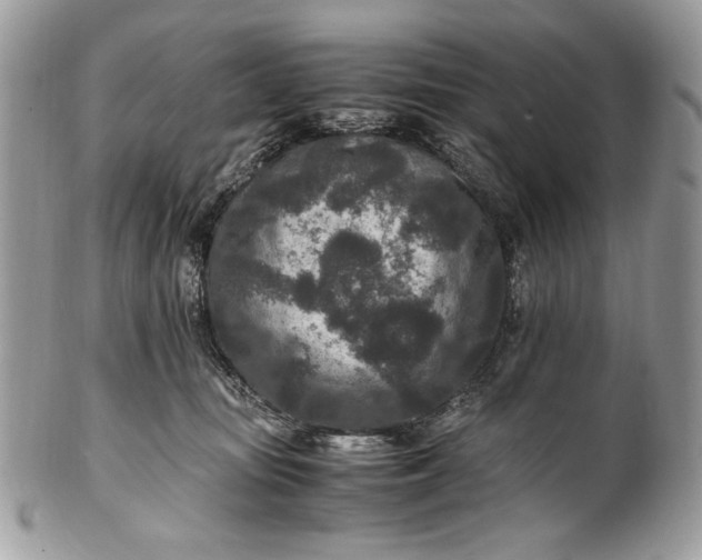 X0000100860371200807070939