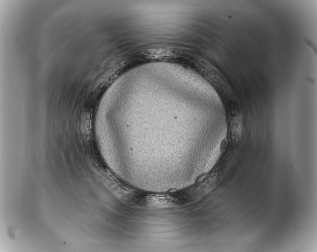 X0000100860372200807070939