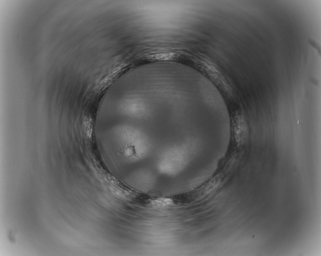 X0000100860374200807070939