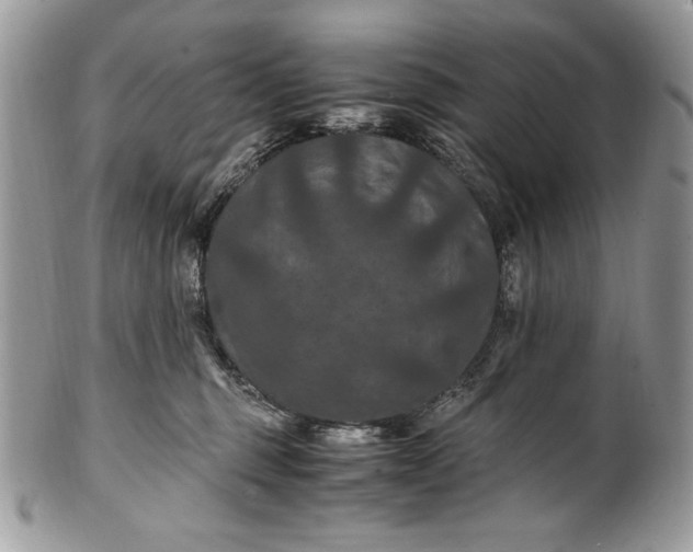 X0000100860375200807070939