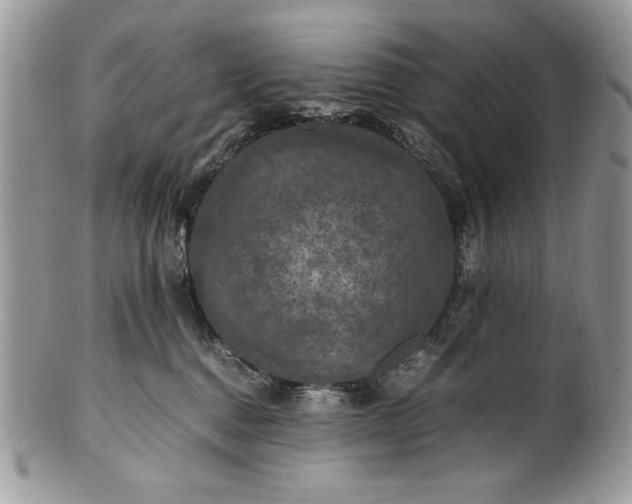 X0000100860376200807070939