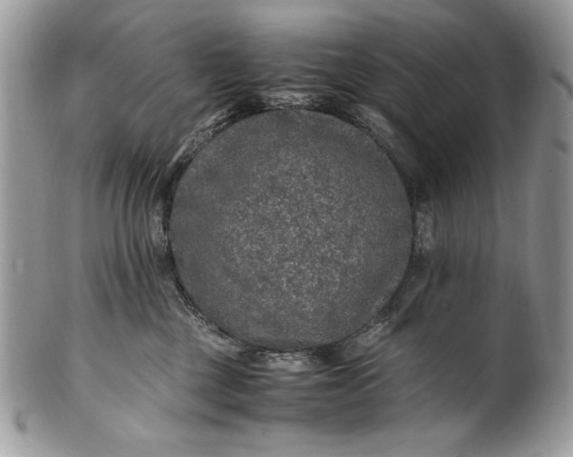 X0000100860377200807070939