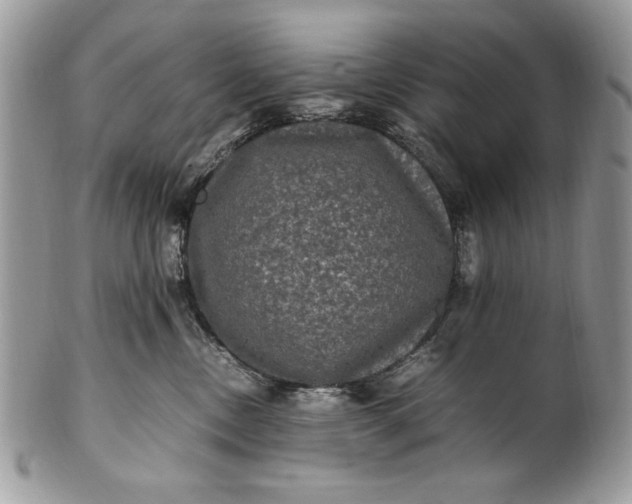 X0000100860378200807070939