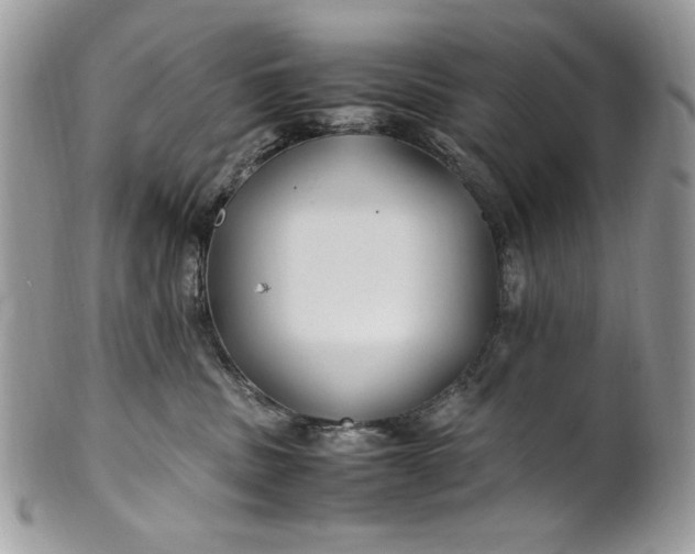 X0000100860379200807070939