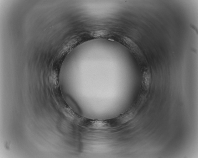 X0000100860380200807070939