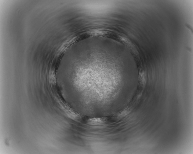 X0000100860381200807070939