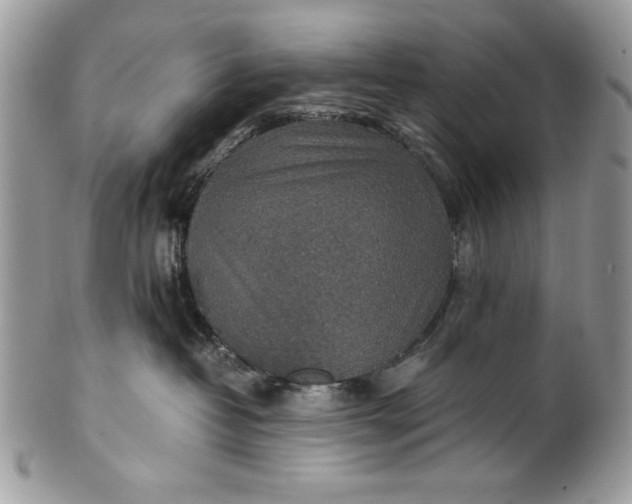 X0000100860382200807070939