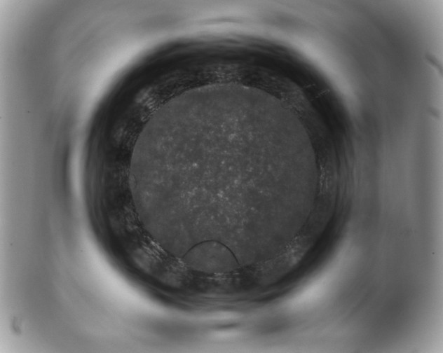 X0000100860383200807070939