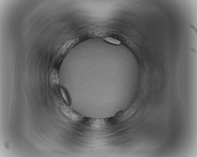 X0000100860384200807070939