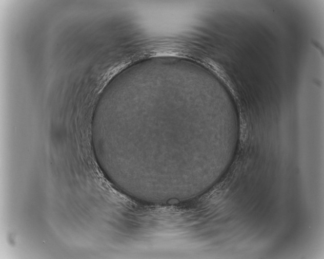 X0000100860385200807070939