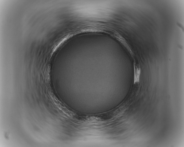 X0000100860387200807070938