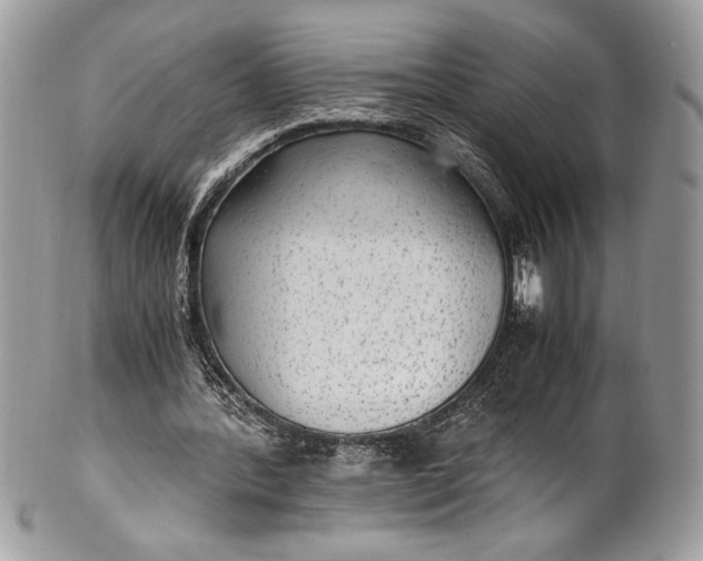 X0000100860388200807070938