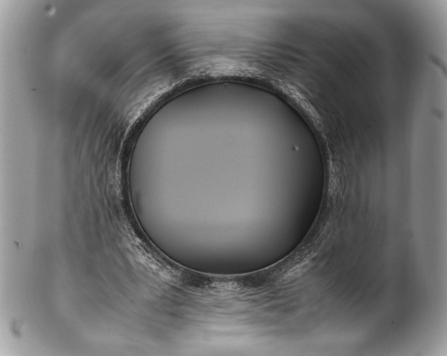 X0000100860391200807070938