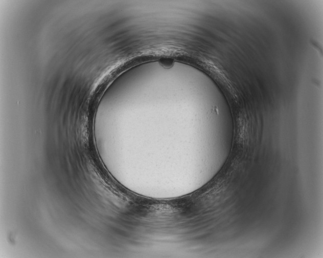 X0000100860392200807070938