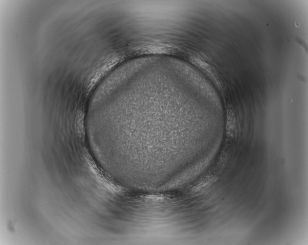 X0000100860394200807070938