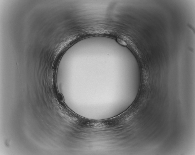 X0000100860395200807070938