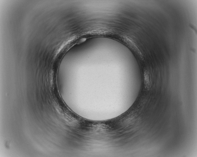 X0000100860396200807070938