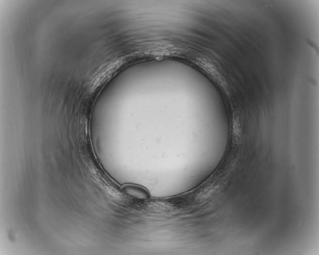 X0000100860397200807070938