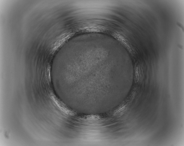 X0000100860398200807070938