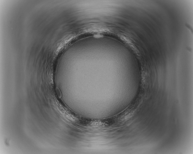 X0000100860399200807070938