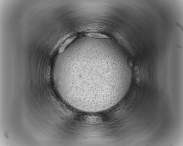 X0000100860400200807070938